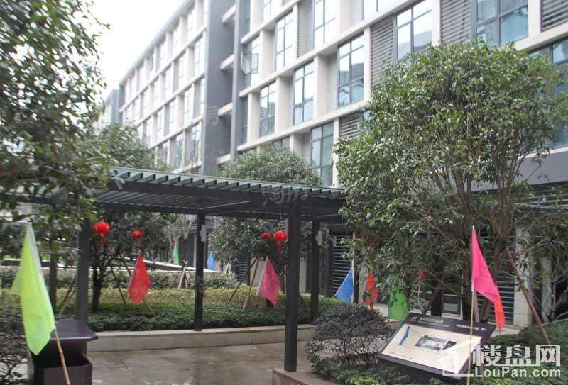 东钱悦实景图