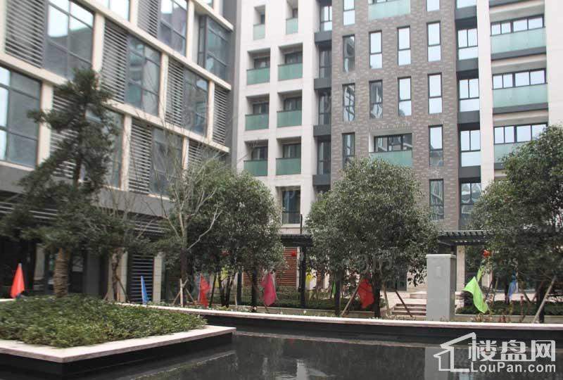 东钱悦实景图