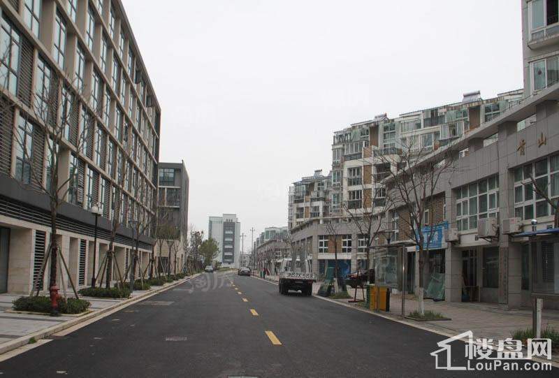 东钱悦实景图