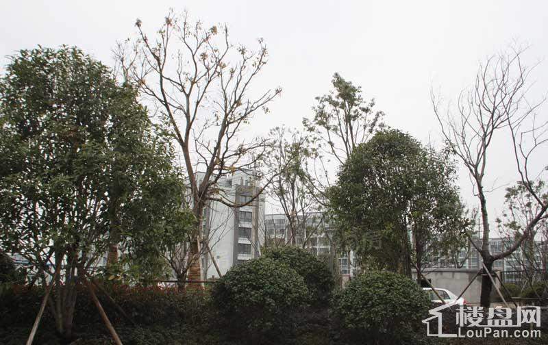 东钱悦实景图