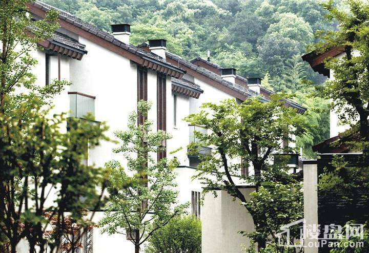 实景图