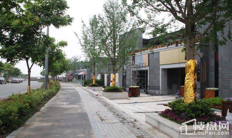 万科云鹭湾实景图