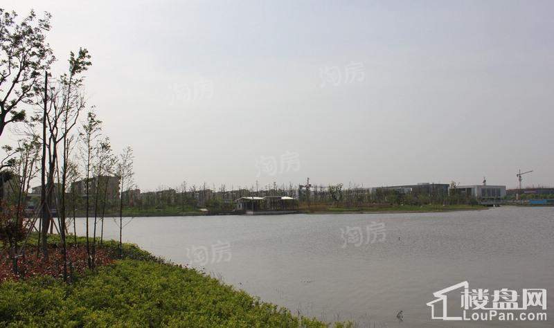 万科云鹭湾实景图