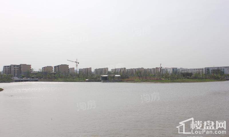 万科云鹭湾实景图