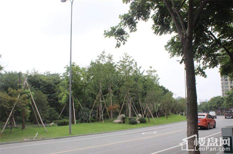 中旅名门府实景图