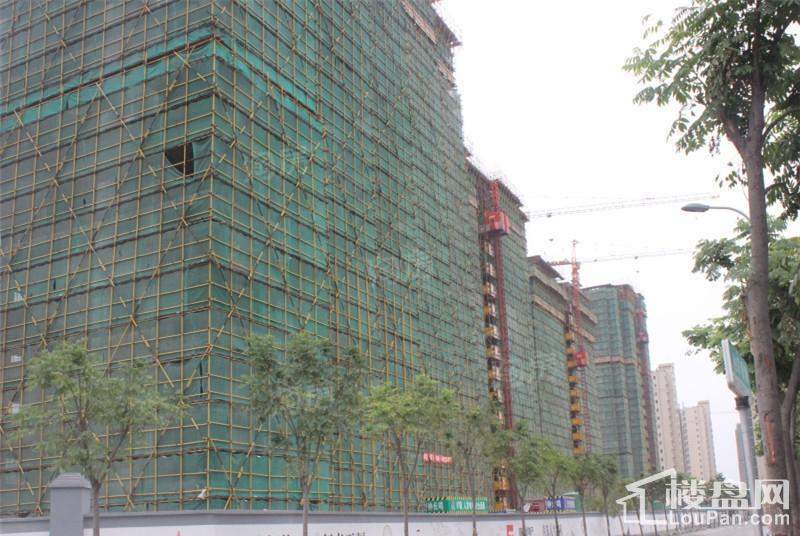 中旅名门府实景图