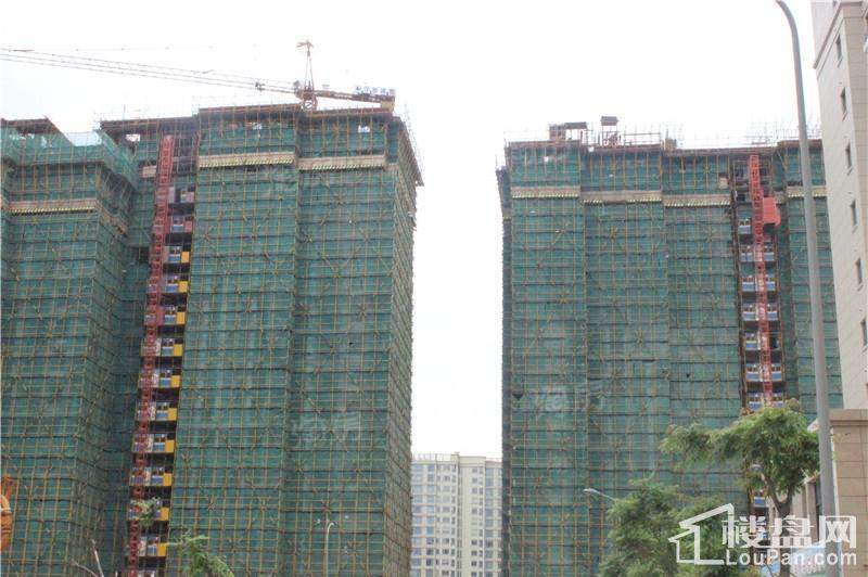 中旅名门府实景图