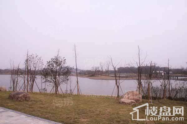 维拉小镇二期实景图
