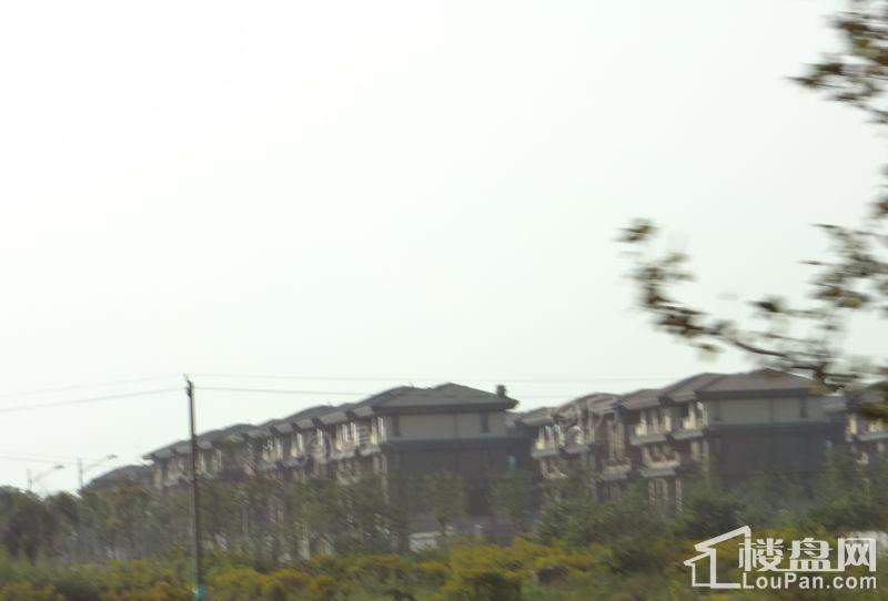 维拉小镇二期实景图
