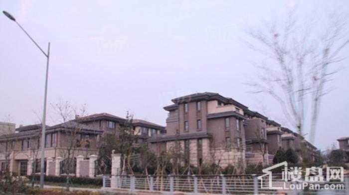 维拉小镇二期实景图