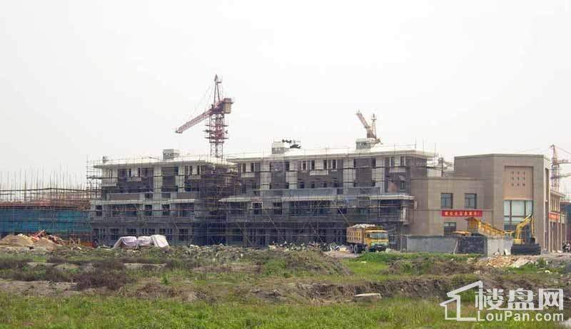 维拉小镇二期实景图
