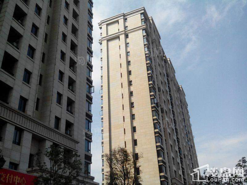 雅戈尔长岛花园实景图
