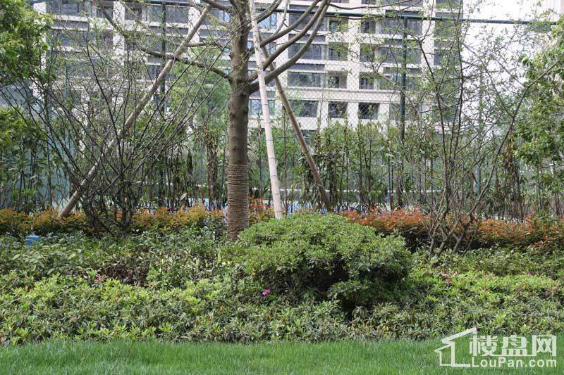 雅戈尔长岛花园实景图
