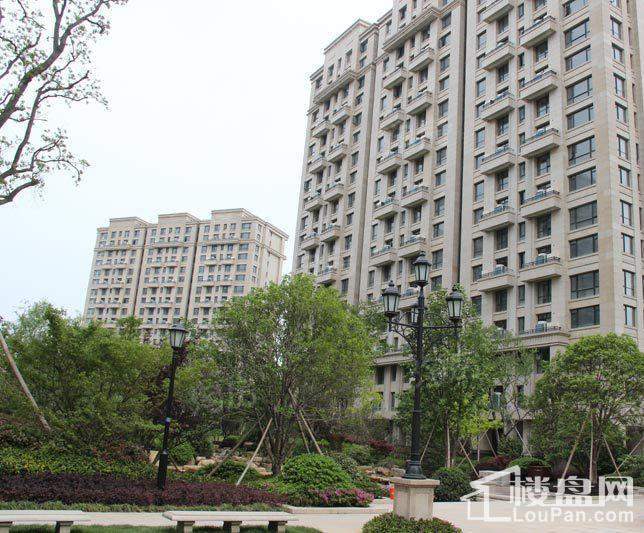 雅戈尔长岛花园实景图