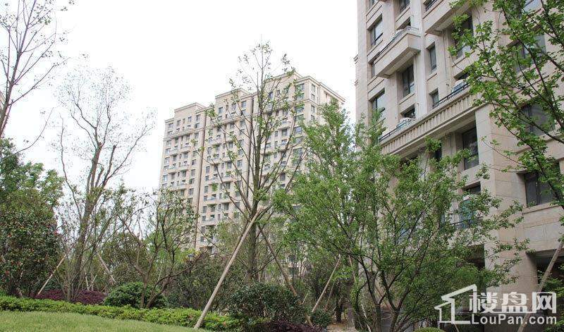 雅戈尔长岛花园实景图