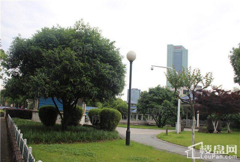 海顿公馆配套图