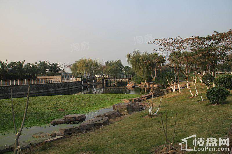 合生国际城配套图