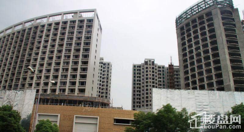 郁金香中心实景图