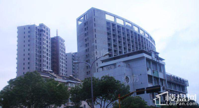 郁金香中心实景图