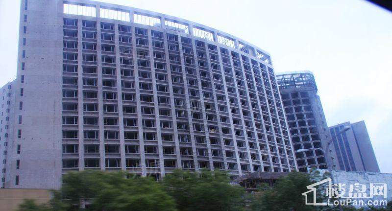 郁金香中心实景图