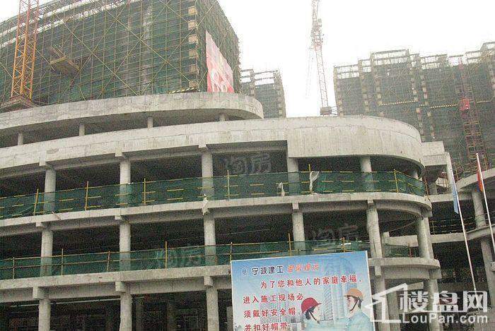 郁金香中心实景图