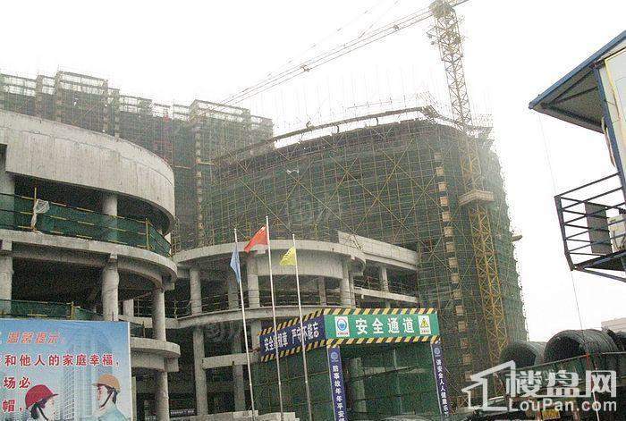 郁金香中心实景图