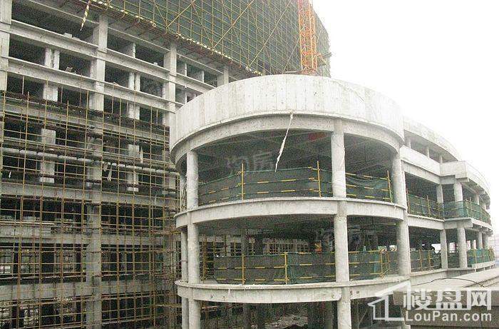 郁金香中心实景图