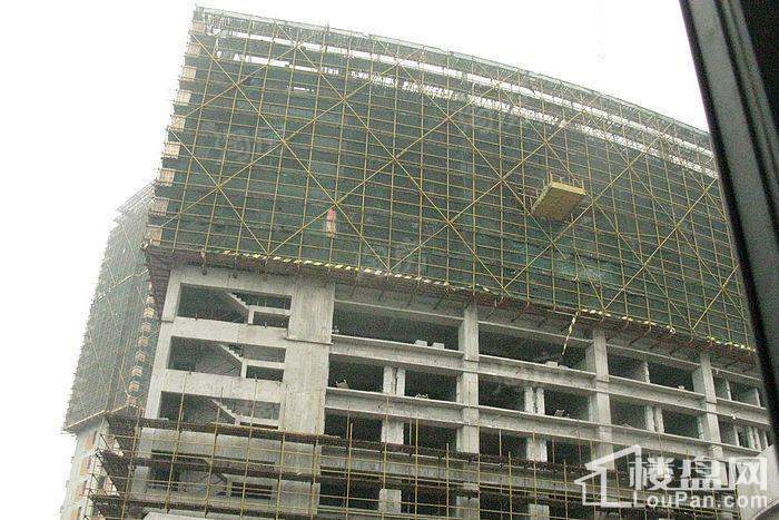 郁金香中心实景图