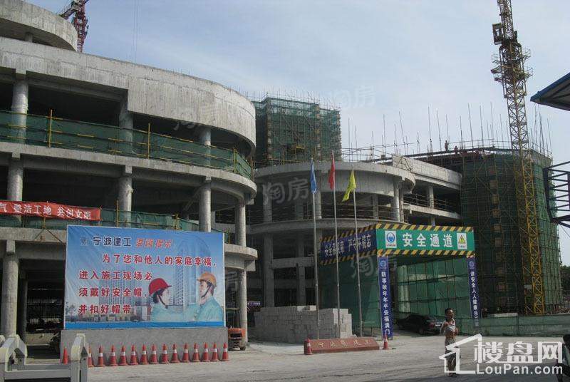 郁金香中心实景图