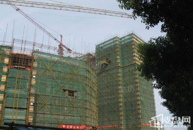 郁金香中心实景图