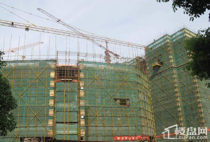 郁金香中心实景图