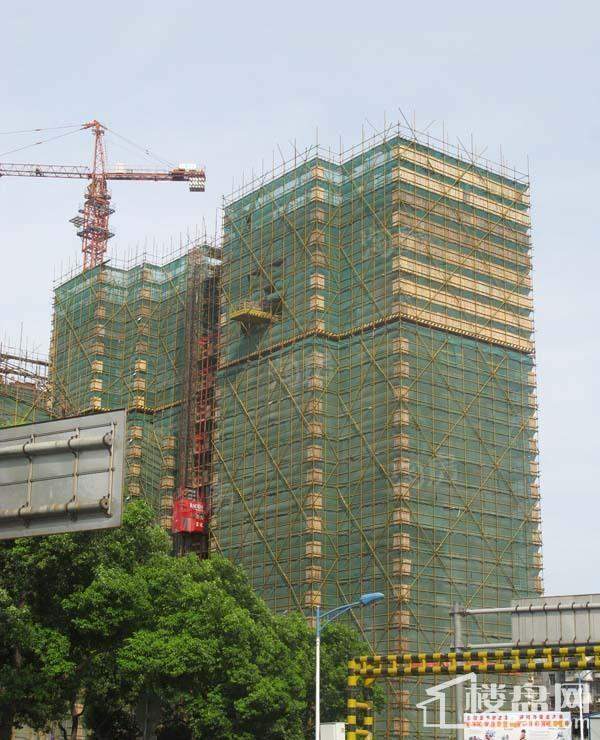 郁金香中心实景图