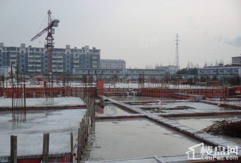 郁金香中心实景图