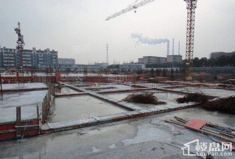 郁金香中心实景图