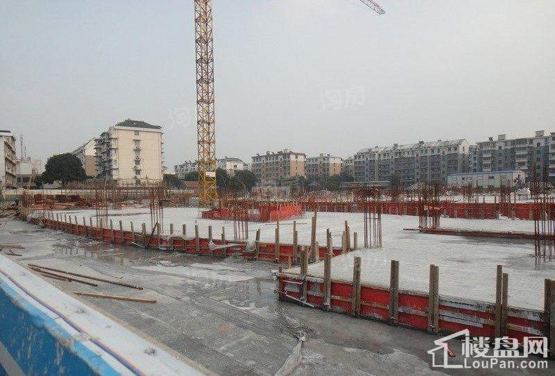 郁金香中心实景图