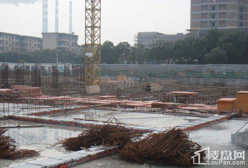 郁金香中心实景图