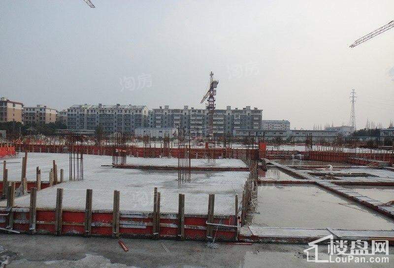 郁金香中心实景图