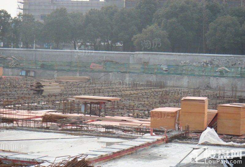 郁金香中心实景图