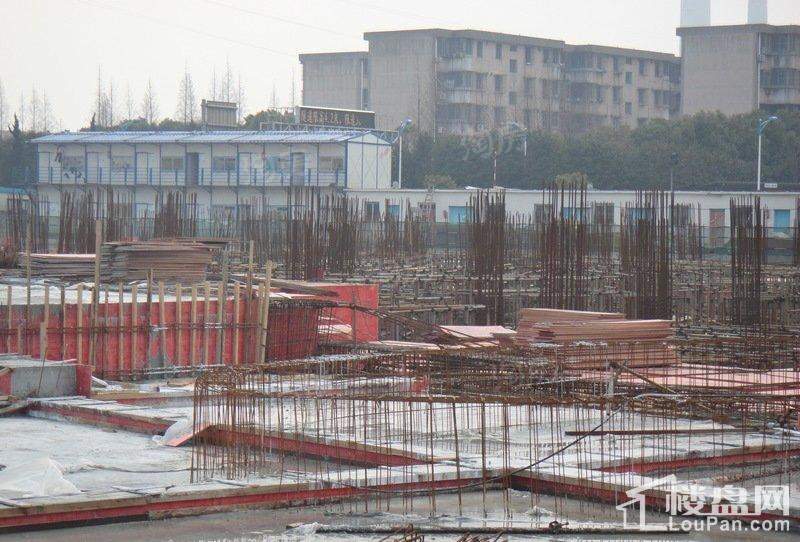 郁金香中心实景图