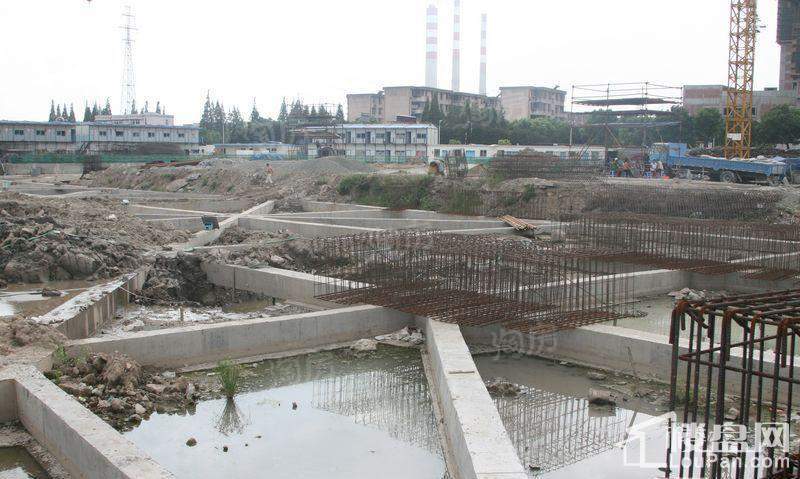 郁金香中心实景图