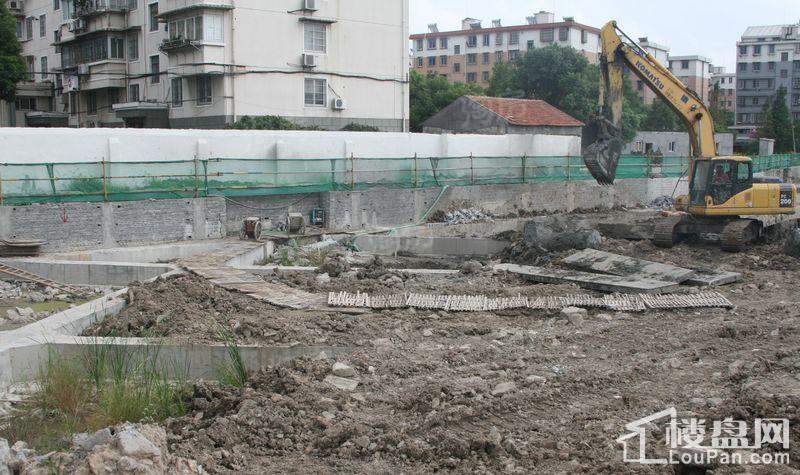 郁金香中心实景图