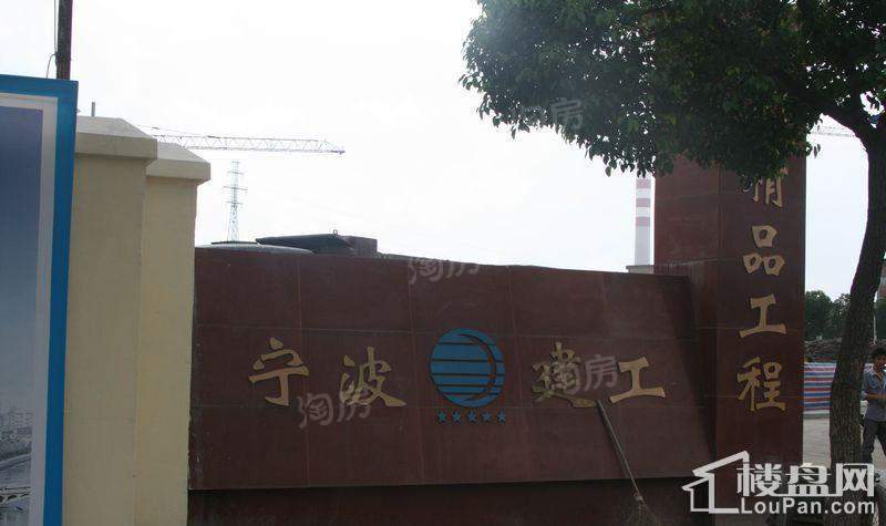 郁金香中心实景图