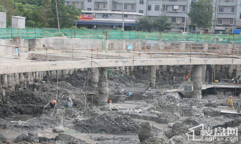 郁金香中心实景图