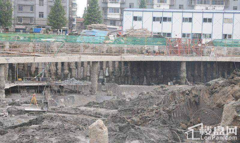 郁金香中心实景图