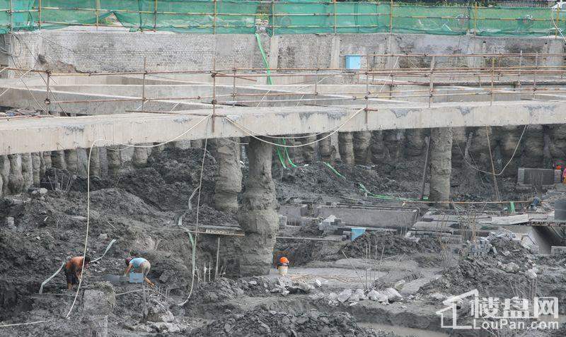 郁金香中心实景图