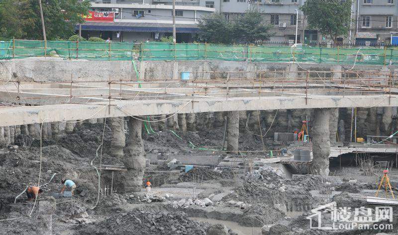 郁金香中心实景图