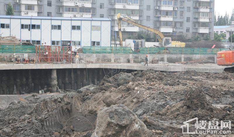 郁金香中心实景图