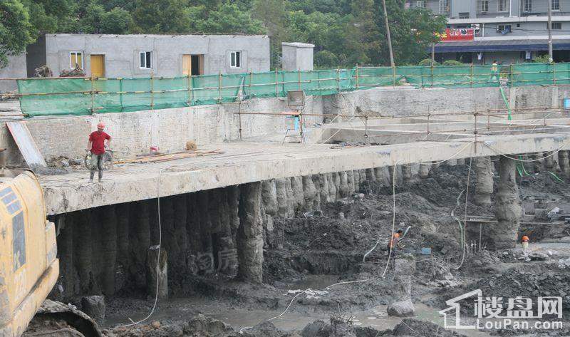 郁金香中心实景图