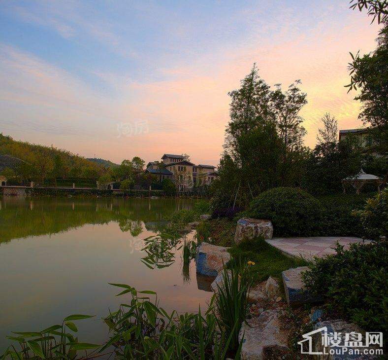 开元九龙湖畔实景图