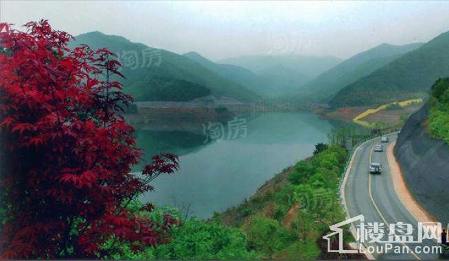 开元九龙湖畔配套图
